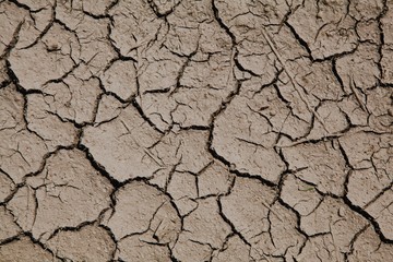 Risk of global warming - dry soil with cracks.