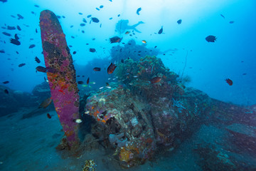 WWII Bomber Wreck underwater with propeller an scuba diver, near Honiara, Solomons