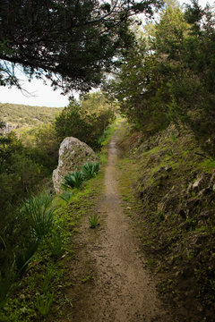 Smigies Nature Trail, circular walk, Akamas Peninsula National Park - Cyprus
