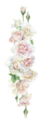 Vertical of watercolor roses