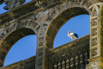 Obraz premium Stork in Aranda de Duero. Burgos. Spain