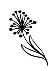 Hand sketched vector vintage floral elements - laurels leaves flower swirls and feathers. Wild and free. Perfect for invitations greeting cards, quotes blogs wedding frames, posters