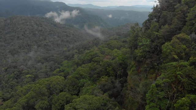 Sinharaja rain forest nature reserve Sri Lanka Aerial View at Sunset Mountains Jungle Ancient Forest