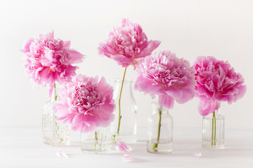 beautiful pink peony flowers bouquet in vase