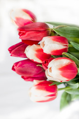 bright bouquet of red with white tulips for congratulations