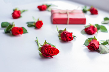 Beautiful roses and gift box on light background