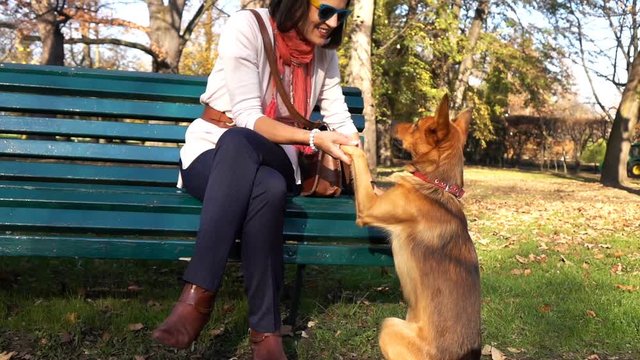 Young woman playing with her cute dog in city park, super slow motion
