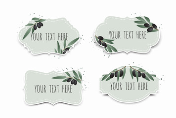 Olive branch. Design template. Design for olive oil, natural cosmetics, health care products.