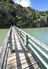 Waitangi river bridge, New Zealand