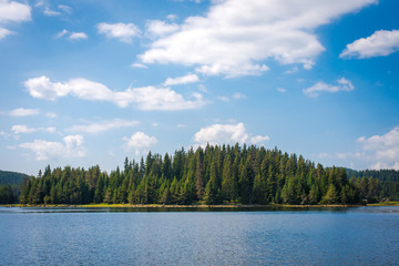 Fototapeta na wymiar Beautiful lake and forest scenery. Summer day in the nature. Bulgaria