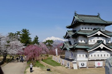 《弘前の桜》青森県弘前市