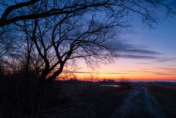 Poranek nad stawami. Stawy Dojlidzkie. Kolorowy i słoneczny  poranek