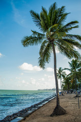 Obraz premium Beach