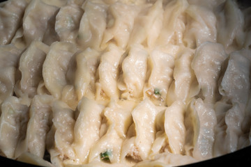 Chinese food,Gyoza