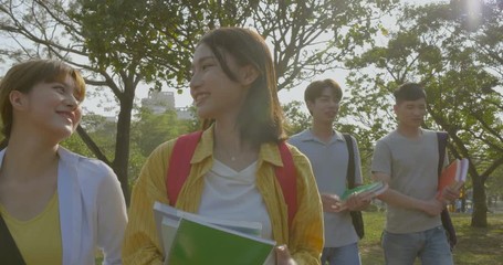group of happy college students  walking in the campus