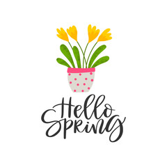 Spring background with flower in pot
