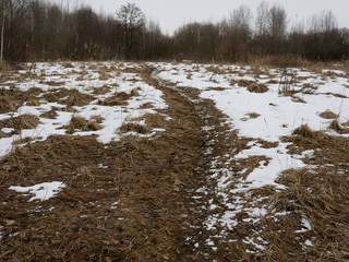 the beginning of spring. bush thickets in a meadow with thawed patches.