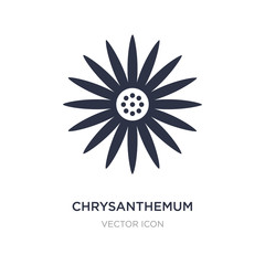 chrysanthemum icon on white background. Simple element illustration from Thanksgiving concept.