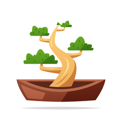 Bonsai tree vector isolated illustration