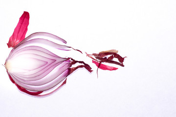 Zwiebel in Scheibe geschnitten