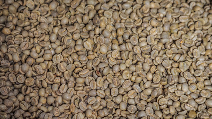 coffee beans unroasted fair-trade