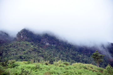 Aerial view of the morning foggy landscape in the mountains. The morning view on the hilltop.