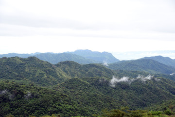 Fototapeta premium Aerial view of the morning foggy landscape in the mountains. The morning view on the hilltop.