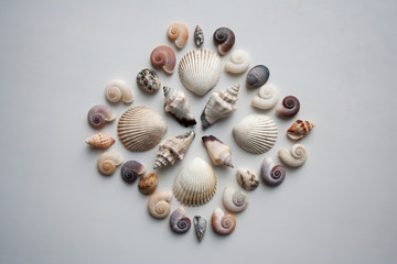 Various thai seashells composition isolated on white background from a high angle view