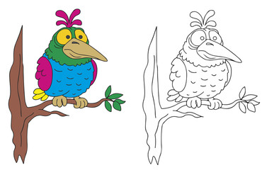 coloring pages for childrens with funny animals,fat bird