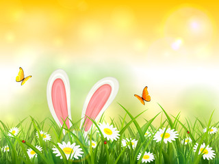 Yellow Nature Background with Rabbit Ears in Grass