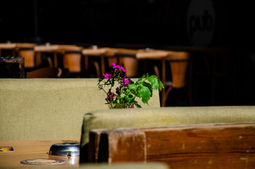 table with flowers