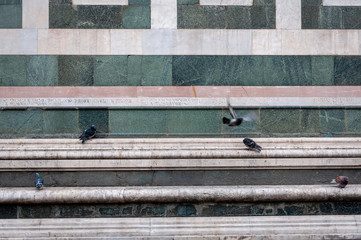 Cattedrale di Sante Maria del Fiore - details