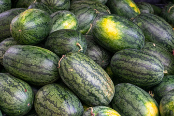 Many watermelon is sold in the fruit market.