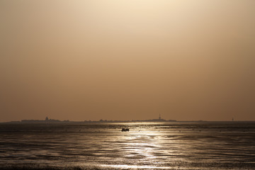 Mud flat Cuxhaven 