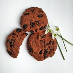 chocolate chip cookies on a white plate