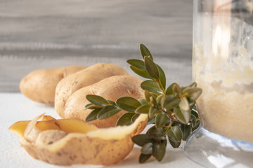 Whole potatoes next to a blender of ground potatoes.
