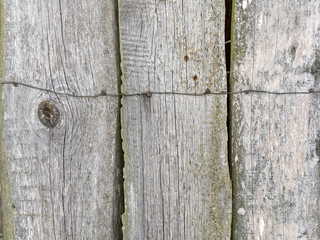 texture of a wooden old plank fence.