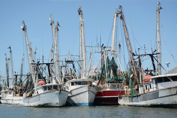rows of shrimping boats