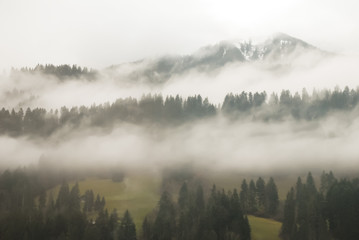 ゴールデン・パス・ラインの車窓　雲が垂れ込める秋の雨のベルナー・オーバーラント地方の山（スイス・ベルン州）