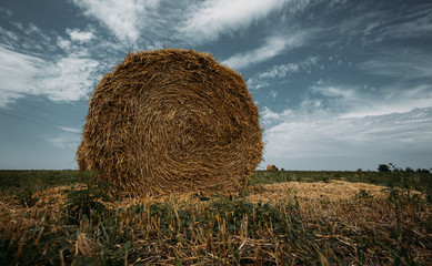 bale of straw in a field