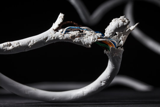 Problem mit Technik - Hund hat Kabel angeknabbert