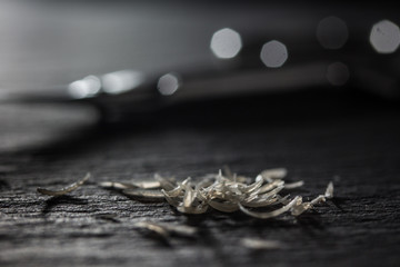 Welche Utensilien für Nagelpflege?