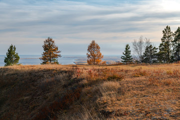 Yakutian landscape with a trees and the great Lena River at gold sunset. Beautiful view from the Tabaginsky cape