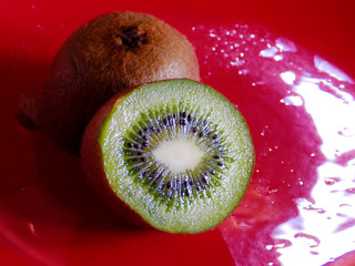 kiwi on a red background
