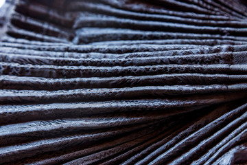 Dettaglio Abito Tradizionale di Sennori - SardegnaSennori, Dettaglio