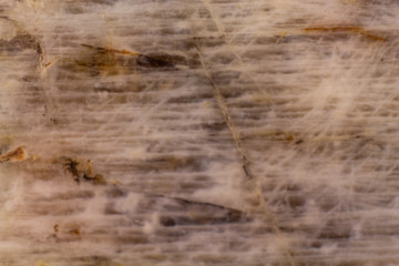 Natural belomorite texture abstract background