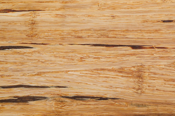 Fototapeta premium Bamboo tree wooden texture