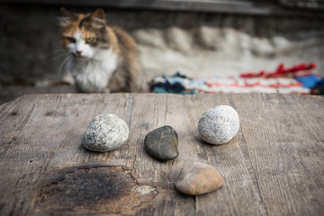 Stones for divination on a wooden table with a cat in the background