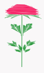 flower drawing illustration vector