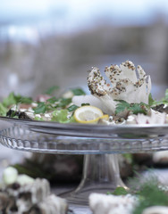 close up.the dish at the restaurant on blurred background